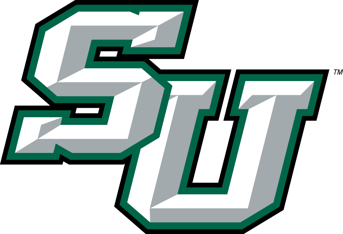 Stetson Hatters 2008-2017 Alternate Logo diy DTF decal sticker